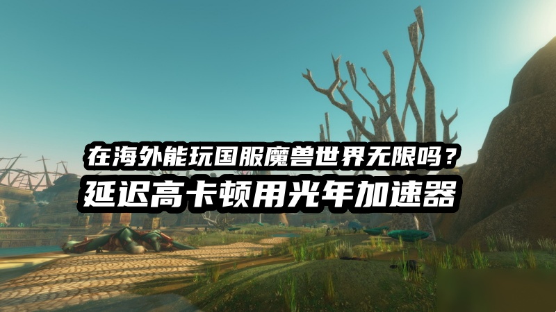 1791439889440916.jpg 海外玩国服魔兽世界无限就用光年加速器.jpg