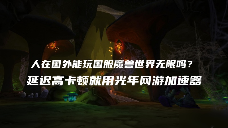 1791440004626412.jpg 光年加速器支持人在海外玩国服魔兽世界无限加速.jpg